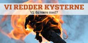 Vi redder kysterne